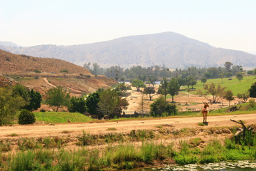Fototapeta premium Sunny of the San Diego Zoo Safari Park