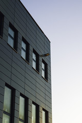 Obraz premium Office building facade with windows reflects the sunset.