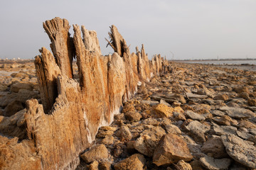 The remains of an old pier. Aged logs stick out of sand at the bottom of a dried reservoir.