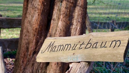 Mamutbaum Schild