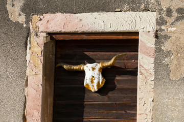 Stier Schädel mit Hörnern hängt an einer Tür
