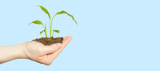 A hand holds a sprout with the earth on a light blue background. The concept of Earth Day, Environment Day, global warming, nature conservation, climate change. Long horizontal banner.