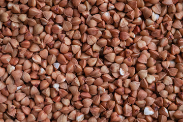 Color and bright photo of a close up seeds of buckwheat with empty place for concept and text. Saving food in a pandemic