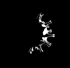 Virus in dunkler Umgebung und grafisch cooler Darstellung