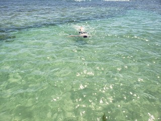 natação, mar, praia, verão, natureza, nadando, pessoa, cristalino, paraíso, férias