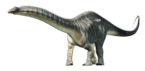 Poster Apatosaurus was a sauropod dinosaur. A herbivore, it lived in during the Late Jurassic Period in what is now North America. On a white background. 3D Rendering © Daniel Eskridge