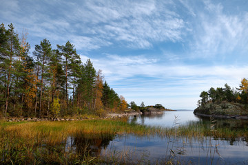 Bay, grass. To the left is a stony shore with pine trees, reddish-brick aspen trees and yellow birches. Along the coastline there is a string of small stones. In the distance you can see the strait.