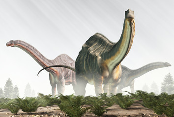 Three apatosauruses, sauropod dinosaurs that lived in during the Late Jurassic Period in what is now North America, emerge from the fog. 3D Rendering  © Daniel Eskridge