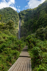 Boardwalk trail to Waimoku Falls, Maui