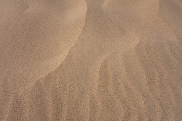Sand dunes, waves of sand. Creative vintage background.