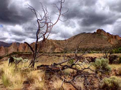 Storm Clouds Over Misery Ridge Trail