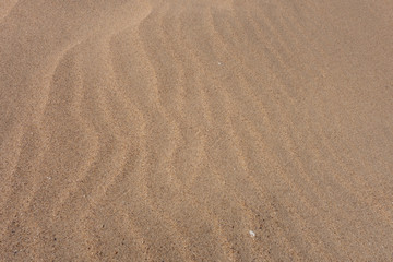 Fototapeta na wymiar Sand dunes, waves of sand. Creative vintage background.
