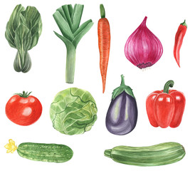 
Watercolor painted vegetables collection. Hand made fresh food design elements isolated on white background.