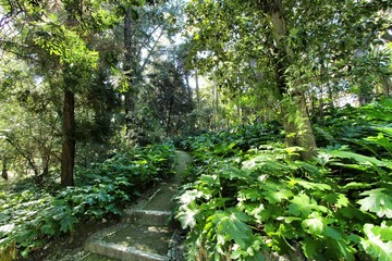 Leafy and green gardens at the Botanical Garden of Lisbon