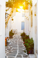 Picturesque narrow street with traditional whitewashed houses with blooming Geranium flowers of Naousa town in famous tourist attraction Paros island, Greece