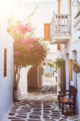 Picturesque narrow street with traditional whitewashed houses with blooming bougainvillea flowers of Naousa town in famous tourist attraction Paros island, Greece