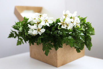Spring composition. Box with spring flowers inside on a white background.