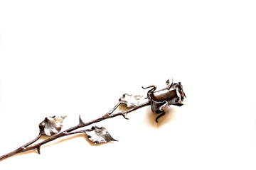 Cast-iron, hand-forged rose on a white background with a place for the inscription. A souvenir made of metal by a blacksmith.