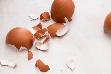 Eggshell on white background, eggs isolated