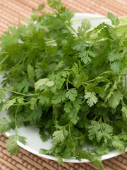 ハーブ　チャービル