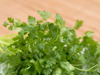 ハーブ　チャービル