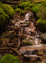 small waterfall in the forest