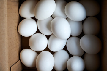 Oval white chicken eggs in a square cardboard box on the top vi