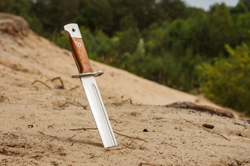 Hunter knife with wooden handle stuck in the sand 