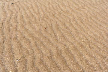 Texture of sand of red color with a pattern in the form of an ox on the seashore. Concept background, texture.