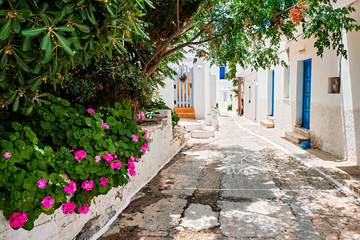 Fototapeta na wymiar Picturesque narrow street with traditional whitewashed houses with blooming flowers of Naousa town in famous tourist attraction Paros island, Greece