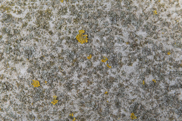  Texture Of the  Weathered Concrete Surface