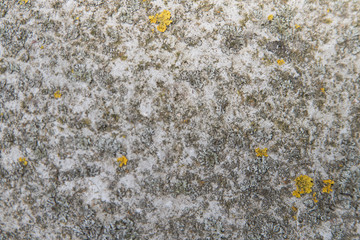 Close up Texture Of  Weathered Concrete Surface