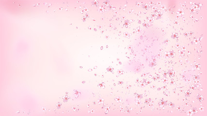 Nice Sakura Blossom Isolated Vector. Beautiful Falling 3d Petals Wedding Pattern. Japanese Nature Flowers Wallpaper. Valentine, Mother's Day Watercolor Nice Sakura Blossom Isolated on Rose