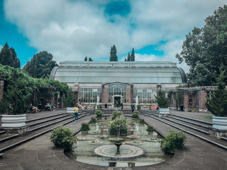 Auckland domain, auckland's oldest park, greenhouse and fountain