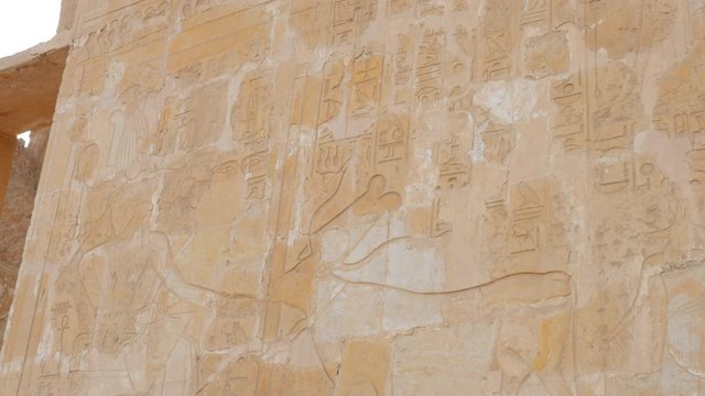 The Walls of the Temple Are Decorated With Numerous Brightly Painted Symbols. One of Them is the Image of the Pharaoh and a Cow that Stands Near Him. A Cow in Ancient Egypt was a Sacred Animal.