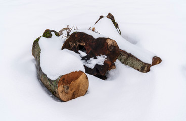 Outdoor Stack of Firewood Covered in Fresh Snow. March 18, 2020 Turkey