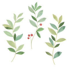 Watercolor illustrations. Botanical clipart. Set of Green leaves, herbs and branches. Floral Design elements. Perfect for wedding invitations, greeting cards, blogs, posters and more