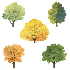 Watercolor painted trees. Isolated over white background. green and orange leaves on a tree. Set of trees for design.