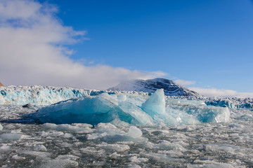 Naklejka premium Landscape with glacier in Svalbard at summer time. Sunny weather.