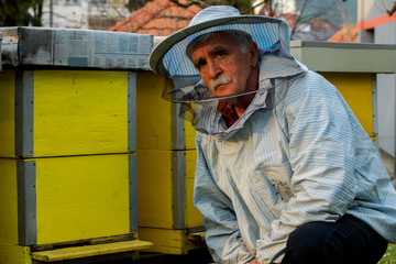 Old apiarist next to his apiary