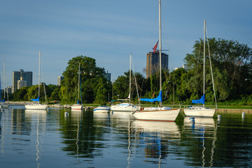 Fototapeta na wymiar Calm water reflecting the image of the sail boats docked in a marina