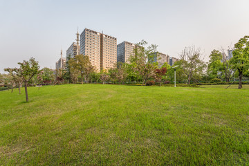 the park in the city
