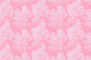 Seamless flowers background. Pale pink floral background, delicate carnation flowers pattern