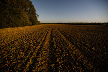 Gepfügtes Feld mit Erdkruste