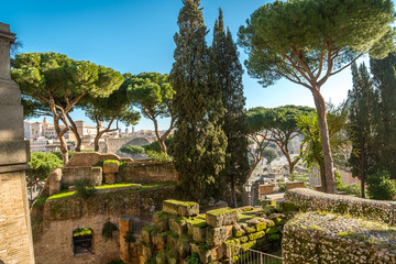 Green trees in the center of Rome