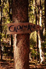 Camino a Cajon del Azul. Para&iacute;so Natural en El Bols&oacute;n