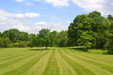 Freshly mowed, large wide open grassy field with trees in background with blue sky with clouds....
