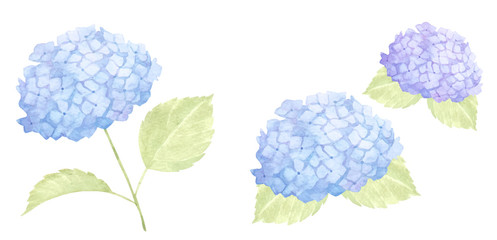 水彩の藤 Wall Mural Wallpaper Murals Wallsheaven エコ