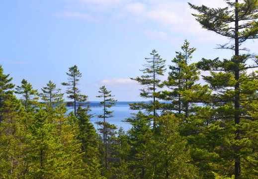 Scenic mountain top view looking down onto Maine coastline landscape with pine trees, blue sky and ocean in the background. Copy space. - Powered by Adobe