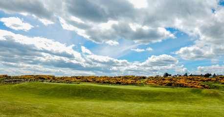 Fototapeta premium 14th hole, Royal Dornoch Golf Club